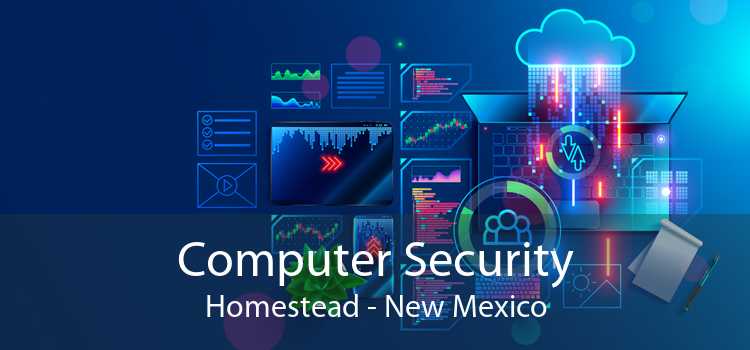 Computer Security Homestead - New Mexico
