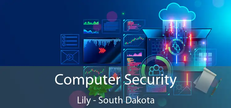Computer Security Lily - South Dakota