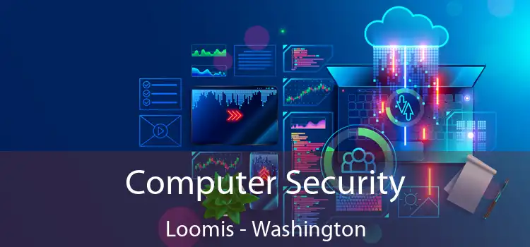 Computer Security Loomis - Washington