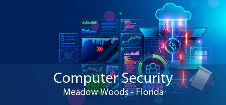 Computer Security Meadow Woods - Florida