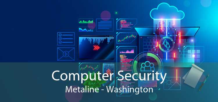 Computer Security Metaline - Washington