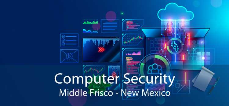 Computer Security Middle Frisco - New Mexico