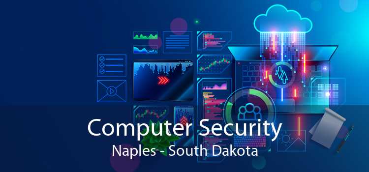 Computer Security Naples - South Dakota