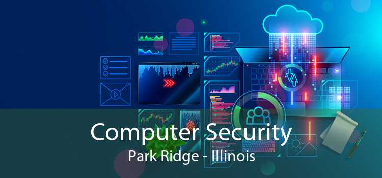 Computer Security Park Ridge - Illinois