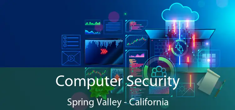 Computer Security Spring Valley - California