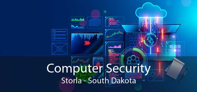 Computer Security Storla - South Dakota