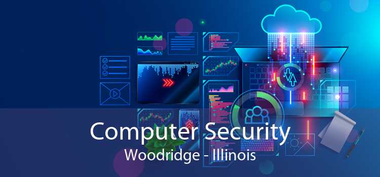 Computer Security Woodridge - Illinois