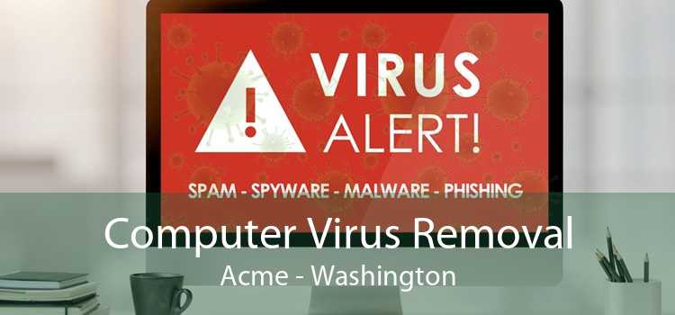 Computer Virus Removal Acme - Washington
