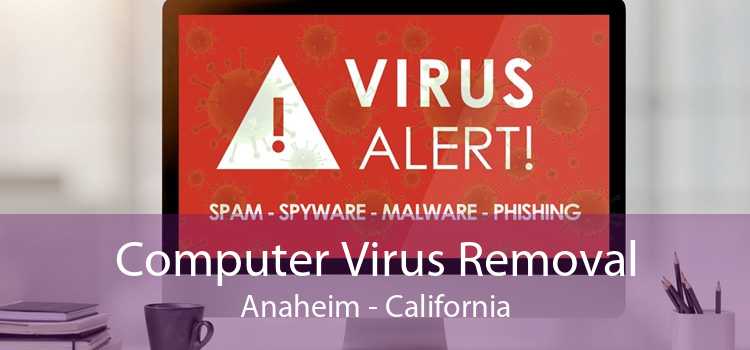 Computer Virus Removal Anaheim - California