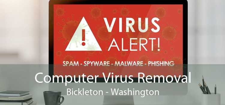 Computer Virus Removal Bickleton - Washington