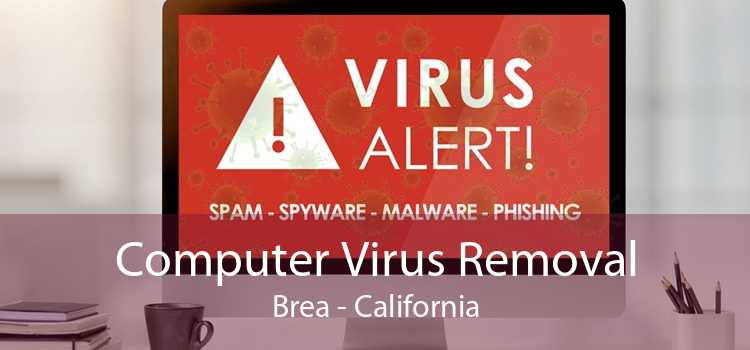 Computer Virus Removal Brea - California