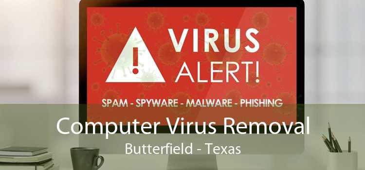 Computer Virus Removal Butterfield - Texas