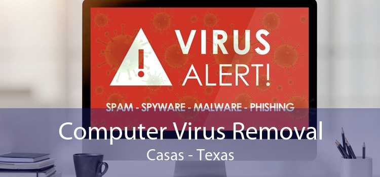 Computer Virus Removal Casas - Texas