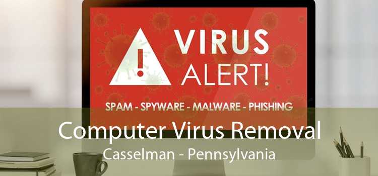 Computer Virus Removal Casselman - Pennsylvania
