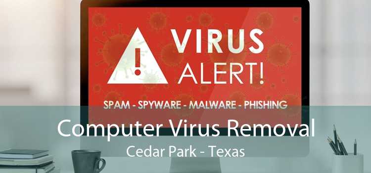 Computer Virus Removal Cedar Park - Texas