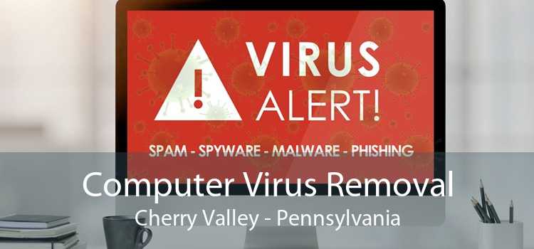 Computer Virus Removal Cherry Valley - Pennsylvania