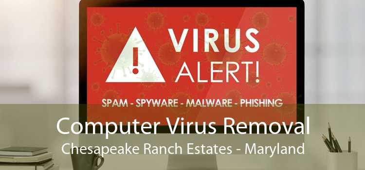 Computer Virus Removal Chesapeake Ranch Estates - Maryland