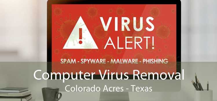 Computer Virus Removal Colorado Acres - Texas