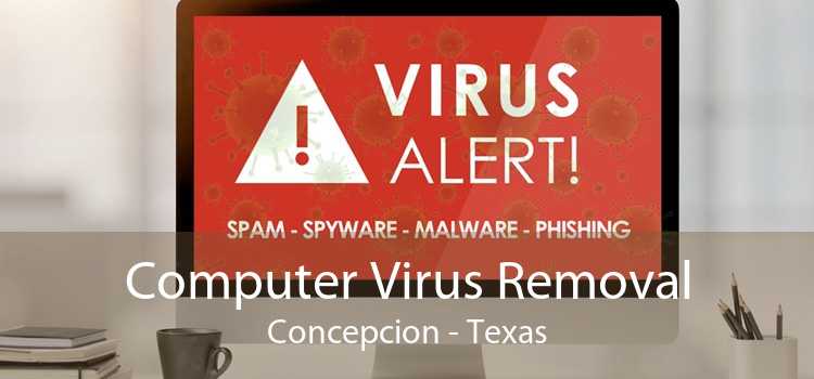 Computer Virus Removal Concepcion - Texas