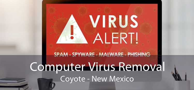 Computer Virus Removal Coyote - New Mexico