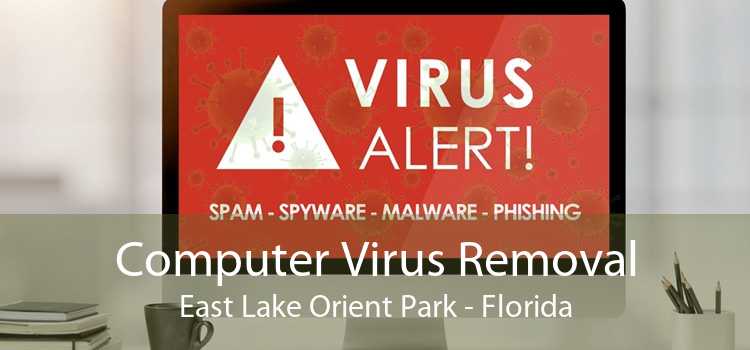 Computer Virus Removal East Lake Orient Park - Florida
