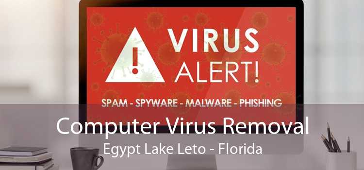 Computer Virus Removal Egypt Lake Leto - Florida