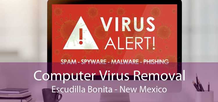 Computer Virus Removal Escudilla Bonita - New Mexico