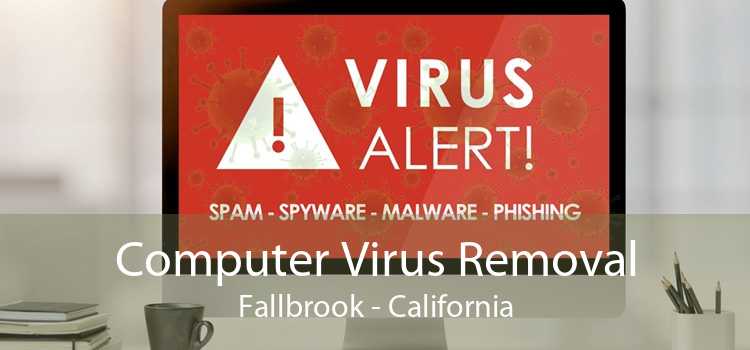 Computer Virus Removal Fallbrook - California