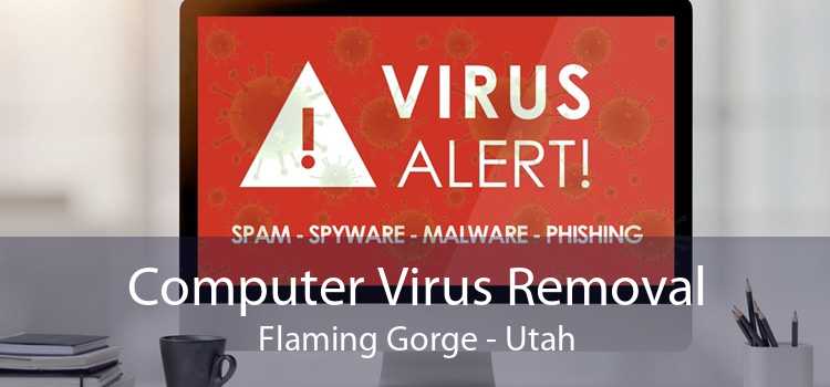 Computer Virus Removal Flaming Gorge - Utah