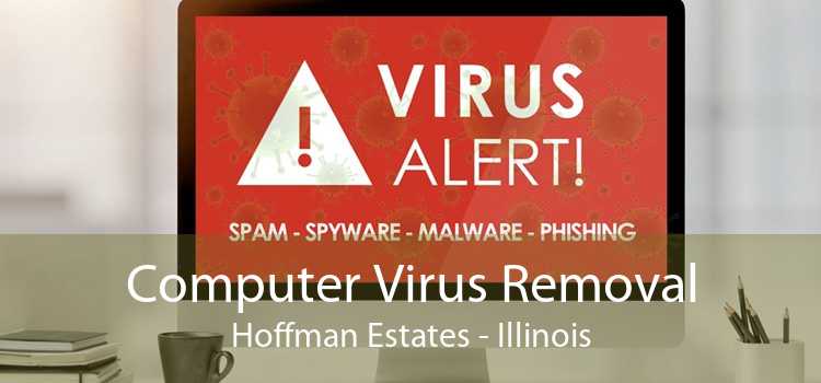 Computer Virus Removal Hoffman Estates - Illinois