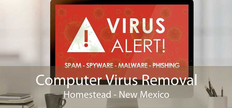 Computer Virus Removal Homestead - New Mexico