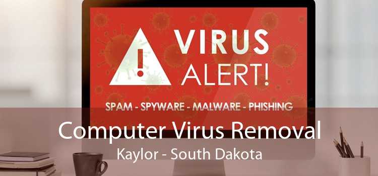 Computer Virus Removal Kaylor - South Dakota