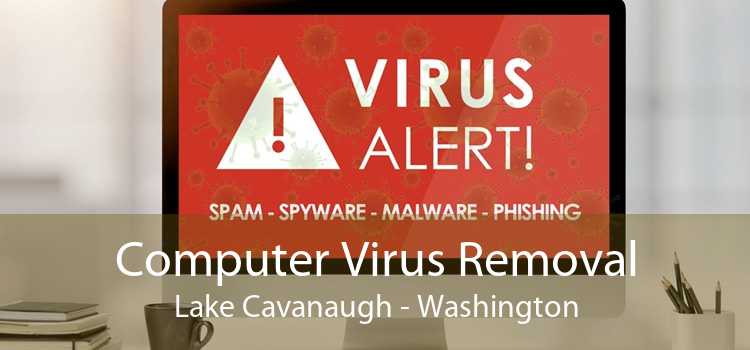 Computer Virus Removal Lake Cavanaugh - Washington