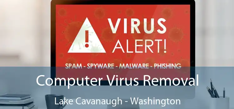 Computer Virus Removal Lake Cavanaugh - Washington