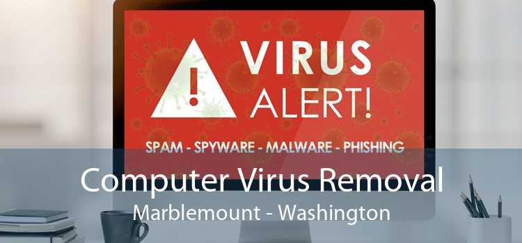 Computer Virus Removal Marblemount - Washington