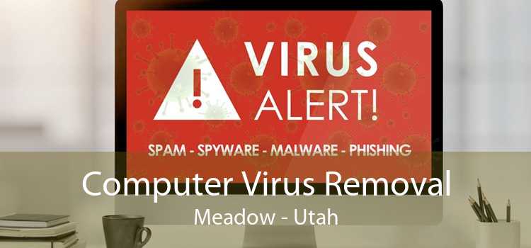Computer Virus Removal Meadow - Utah