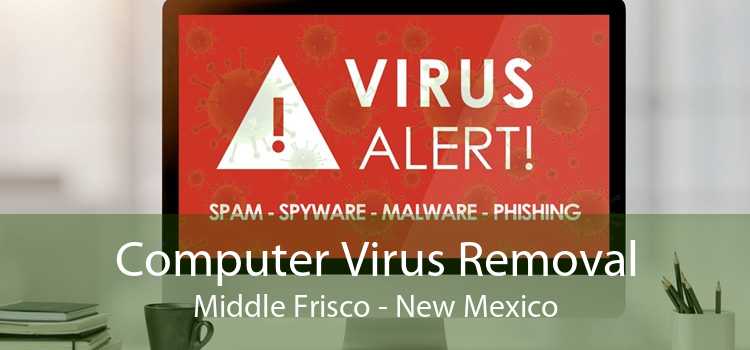 Computer Virus Removal Middle Frisco - New Mexico