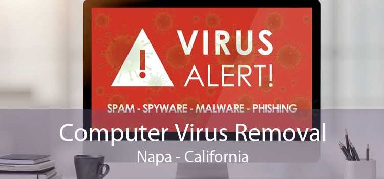 Computer Virus Removal Napa - California