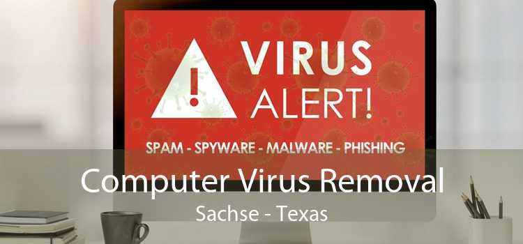 Computer Virus Removal Sachse - Texas