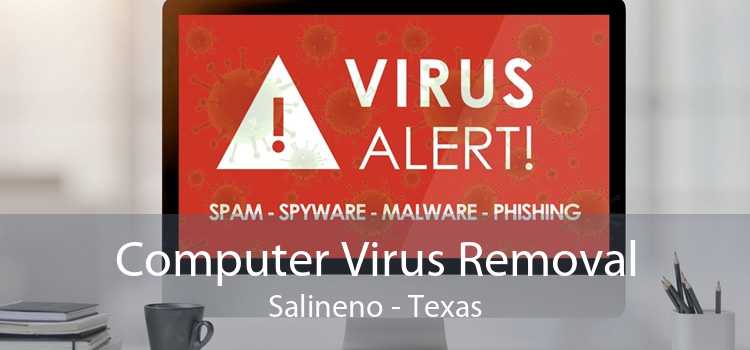 Computer Virus Removal Salineno - Texas