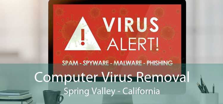 Computer Virus Removal Spring Valley - California