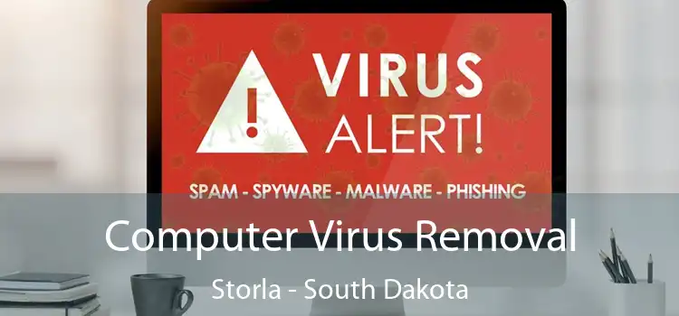 Computer Virus Removal Storla - South Dakota