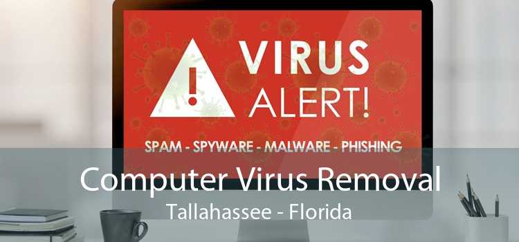 Computer Virus Removal Tallahassee - Florida
