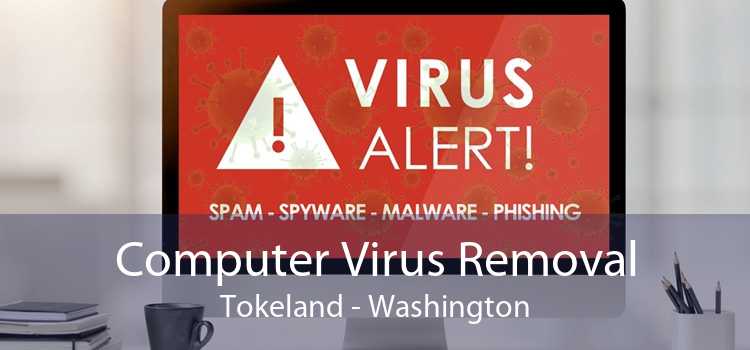Computer Virus Removal Tokeland - Washington