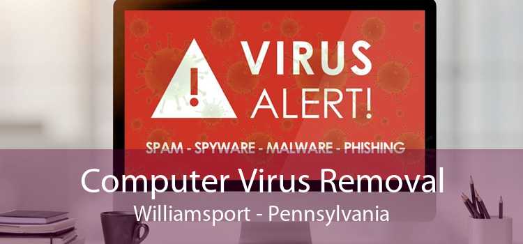 Computer Virus Removal Williamsport - Pennsylvania