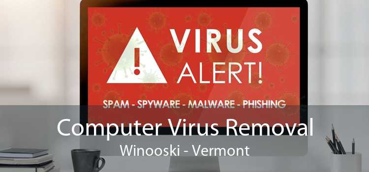 Computer Virus Removal Winooski - Vermont