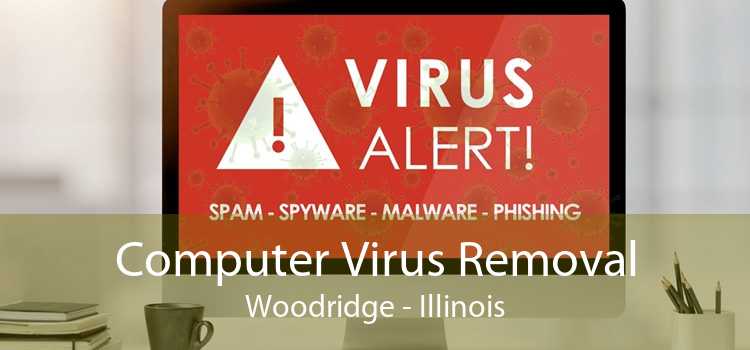 Computer Virus Removal Woodridge - Illinois
