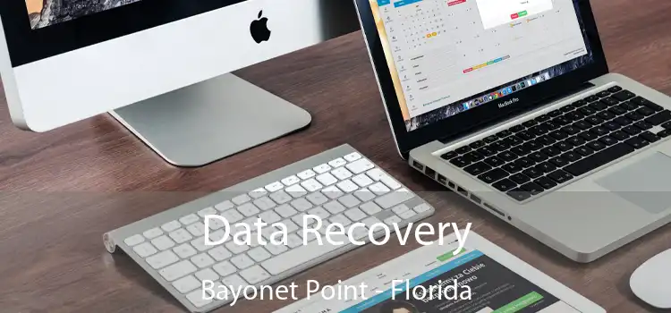Data Recovery Bayonet Point - Florida