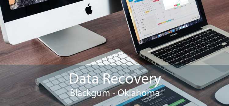 Data Recovery Blackgum - Oklahoma