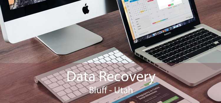 Data Recovery Bluff - Utah